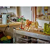 Конструктор LEGO Creator Дикие животные сафари 780 деталей (31150)