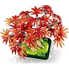 Конструктор LEGO Botanicals Бонсай из японского красного клена (10348)