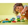 Конструктор LEGO DUPLO Town Творческий сад и цветы (10444-)
