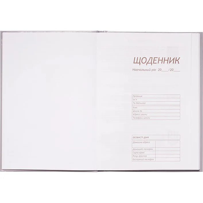 Дневник школьный ZiBi Romantic B5 48 листов (ZB.13817)