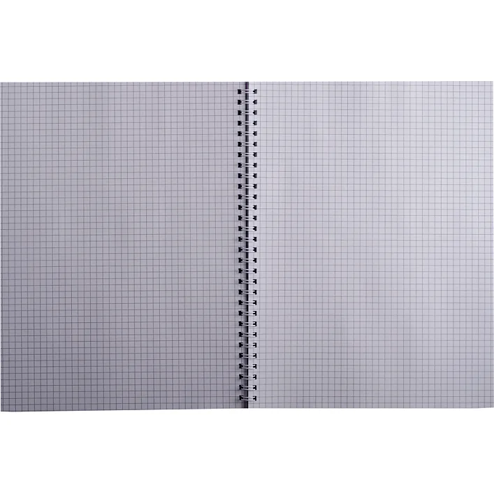 Тетрадь Buromax Favourite Pastel A4 80 листов, клетка пластиковая обложка Ро (BM.24452154-10)