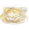 Гирлянда Chomik Гірлянда-струна 6,2 м, 60 LED теплий білий, 3АА батар., ІР44 (5900779802650)