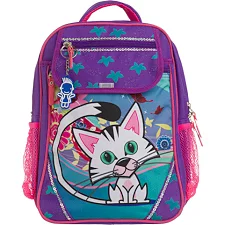 Рюкзак школьный Bagland Отличник 20 л. 170 фиолетовый 502 (0058066) (66318029)