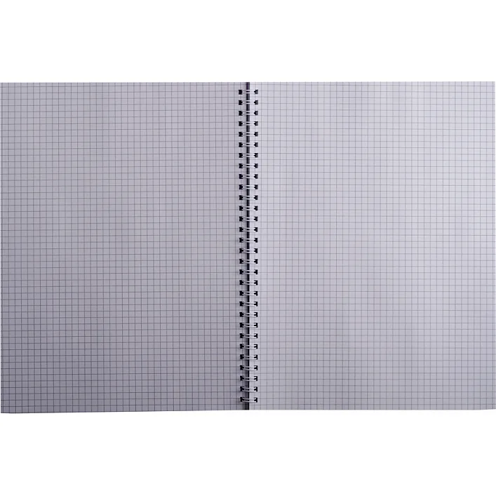 Тетрадь Buromax Favourite Pastel A4 80 листов, клетка пластиковая обложка Си (BM.24452154-26)