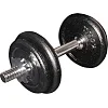 Гантельний набір Toorx 20 кг з кейсом (VAL-20DGN) (931411)