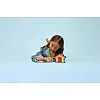 Конструктор LEGO Animal Crossing Уютный дом Goldie (77058)