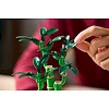 Конструктор LEGO Botanicals Бамбук счастья (10344)