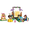 Конструктор LEGO Friends Вечір кіно з друзями (42642)
