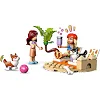 Конструктор LEGO Friends Собачі пригоди на серфі та скутері (42641)
