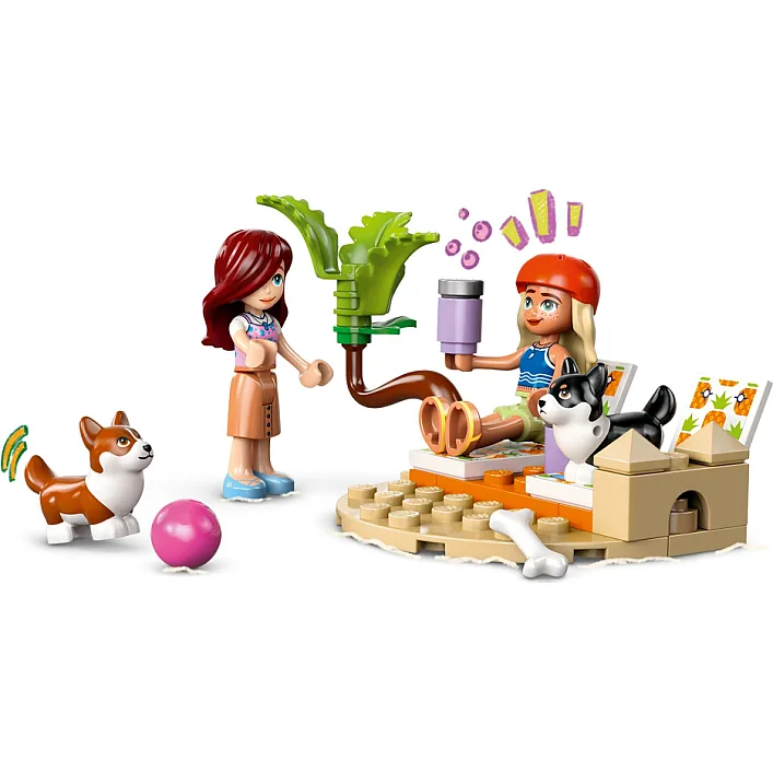 Конструктор LEGO Friends Собачі пригоди на серфі та скутері (42641)