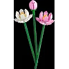 Конструктор LEGO Botanicals Квіти лотоса 220 деталей (40647)