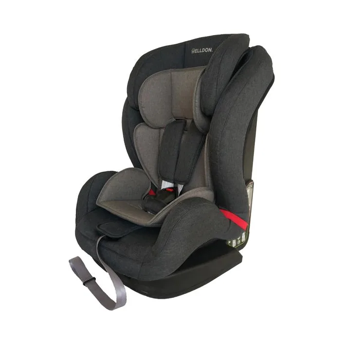 Автокресло Welldon Encore графит (BS07-S95-001)