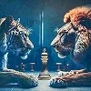 Алмазная мозаика "Тигр со львом" 30х30 см