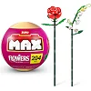 Конструктор в капсуле Max S1 – Садовые цветы