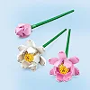 Конструктор LEGO Botanicals Квіти лотоса 220 деталей (40647)