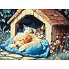 Набір для розпису по номерах "Тихий час" 30х40см. KHO6695 (Нас5509)
