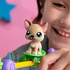 Игровой набор Littlest Pet Shop – Шоу талантов