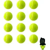 Набор мячей для большого тенниса SWDN Tennis Ball NE-TT-12 в чехле 12 штук