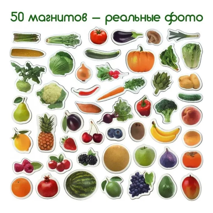 Набор магнитов Magdum "Фрукты и овощи" ML4031-15 EN