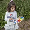 Дитячий металофон із музичною книгою 8 нот, New Classic Toys, 10210 від 3+ років