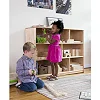 Деревянная дорога Guidecraft Block Science Мосты мира, 55 деталей (G2100R)