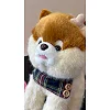 Интерактивная мягкая игрушка Cute Pet, AiDA (53954)