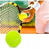 Набор мячей для большого тенниса SWDN Tennis Ball NE-TT-12 в чехле 12 штук