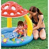 Бассейн INTEX "Грибочок" надувное дно, рем комплект, тент, в коробке (1-3р) 57114 г.102*89см (Рез7114)
