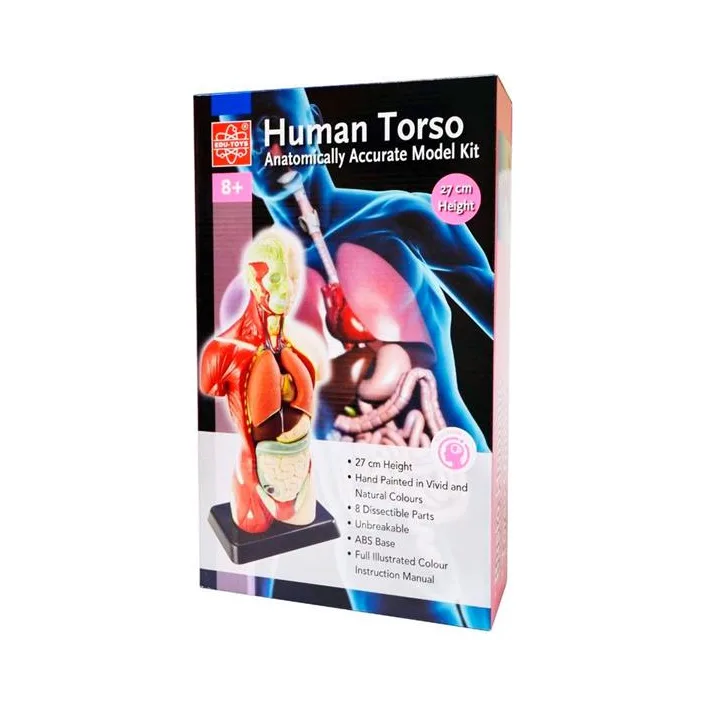 Анатомічна модель людини Edu-Toys збірна 27 см (MK027)