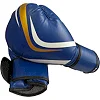 Перчатки боксерские Fight Gear Team Club NE-BOX-BF-8-BL, 8 oz, синий