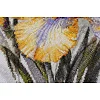 Набор для вышивки крестиком "Ирисы" AH-142 30х21 см