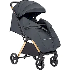 Прогулочная коляска CARRELLO Cross CRL-5523 Eagle Grey