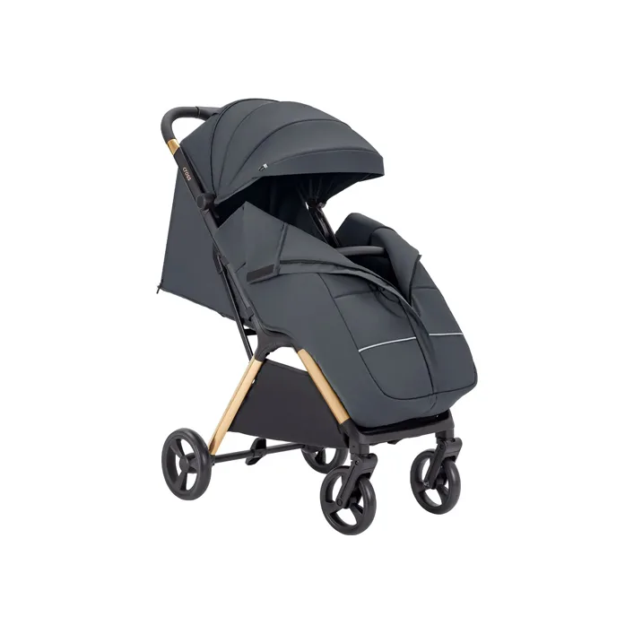Прогулочная коляска CARRELLO Cross CRL-5523 Eagle Grey
