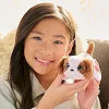 Интерактивная мягкая игрушка FURREAL серии «My Mini&s» - 28061 МАЛЕНЬКАЯ ЩЕНКА