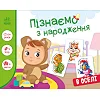 Дитяча розвиваюча гра "Пізнаємо з народження: В оселі" 264016, 8 карток