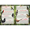 Книга "Иллюстрированный атлас живой природы" (укр)