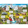Книжка з віконцями "Відкрий і дізнайся. Тварини планети Земля", укр