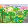 Книги для ума : Тайная жизнь растений
