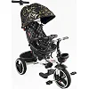 Велосипед 6390 &ndash; 10-960 BestTrike "Oscar" (1) ПОВОРОТНОЕ СИДЕНИЕ, РУЛЬ СОСТАВЛЯЕТСЯ, КОЛЕСА С ПРОГУЛИТЕЛЬНЫМ PU, КОРЗИНА, ТЕЛЕСКОПИЧЕСКАЯ РУЧКА