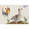 Мягкая игрушка Гусь серый длина 44см, Hansa (6329)