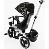 Велосипед 6390 &ndash; 10-960 BestTrike "Oscar" (1) ПОВОРОТНОЕ СИДЕНИЕ, РУЛЬ СОСТАВЛЯЕТСЯ, КОЛЕСА С ПРОГУЛИТЕЛЬНЫМ PU, КОРЗИНА, ТЕЛЕСКОПИЧЕСКАЯ РУЧКА
