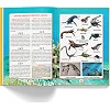 Книга "Вы должны это знать. Динозавры"