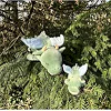М'яка іграшка Plush - DRAGO- Дракон- Розмір L - 53см, Trousselier (J6033)