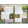 Книга "Большая книга почемучки" (укр)
