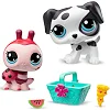 Дитячий ігровий набір "Милий пікнік" Littlest Pet Shop 00624