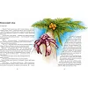 Книга "Експедиція за дивовижними тваринами" 152961