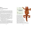 Книга "Експедиція за дивовижними тваринами" 152961