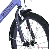Велосипед детский MB 20043-1 колеса 20 дюймов, фиолетовый