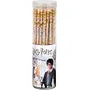 Карандаш графитный Kite с резинкой Harry Potter HP25-056, тубус (Кнц8563)