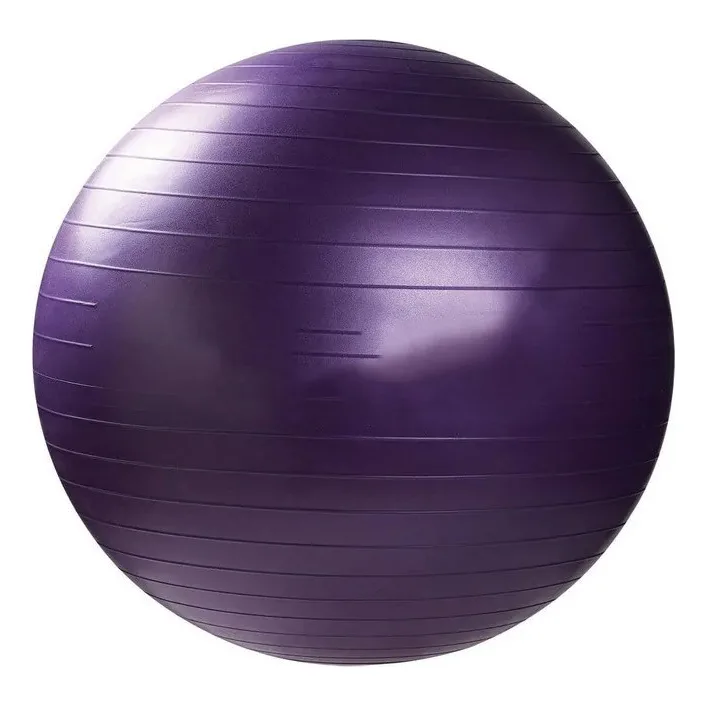 М'яч для фітнесу (Фітбол) BT-SFB-0004(Violet) розмір 65 см